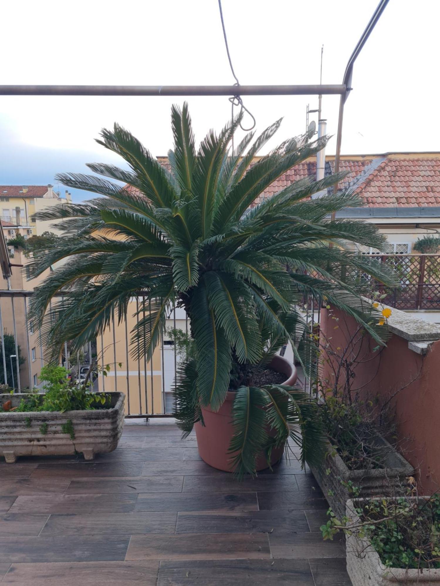 Appartement La Terrazza Su *